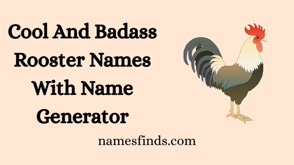 Cool And Badass Rooster Names With Name Generator