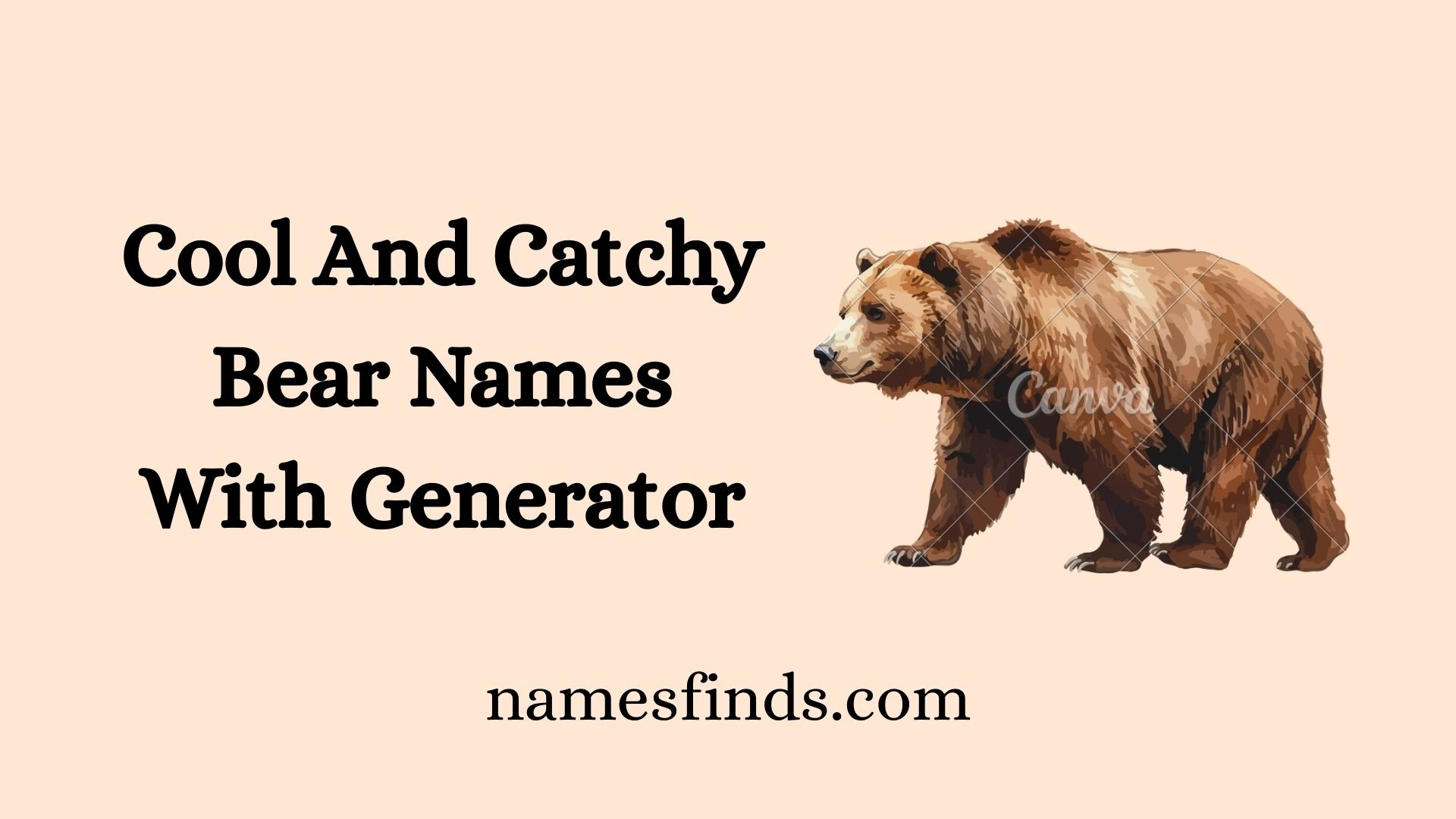 Cool And Catchy Bear Names With Generator