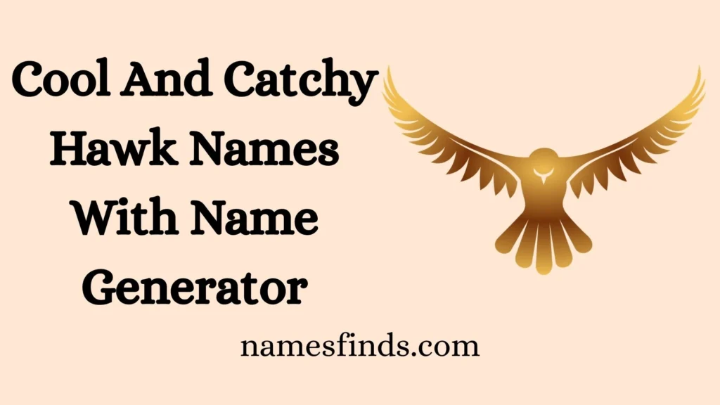 Cool And Catchy Hawk Names With Name Generator