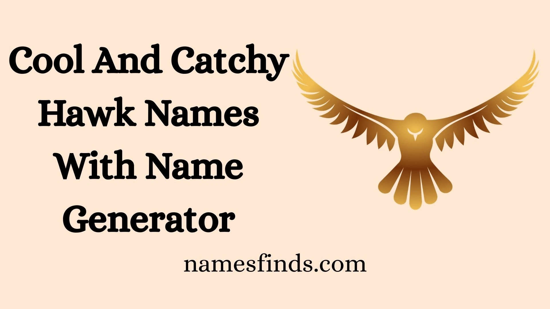 Cool And Catchy Hawk Names With Name Generator