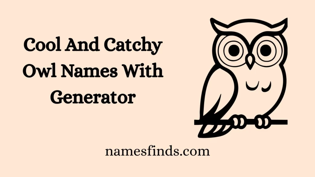 Cool And Catchy Owl Names With Generator