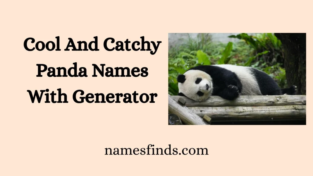Cool And Catchy Panda Names With Generator