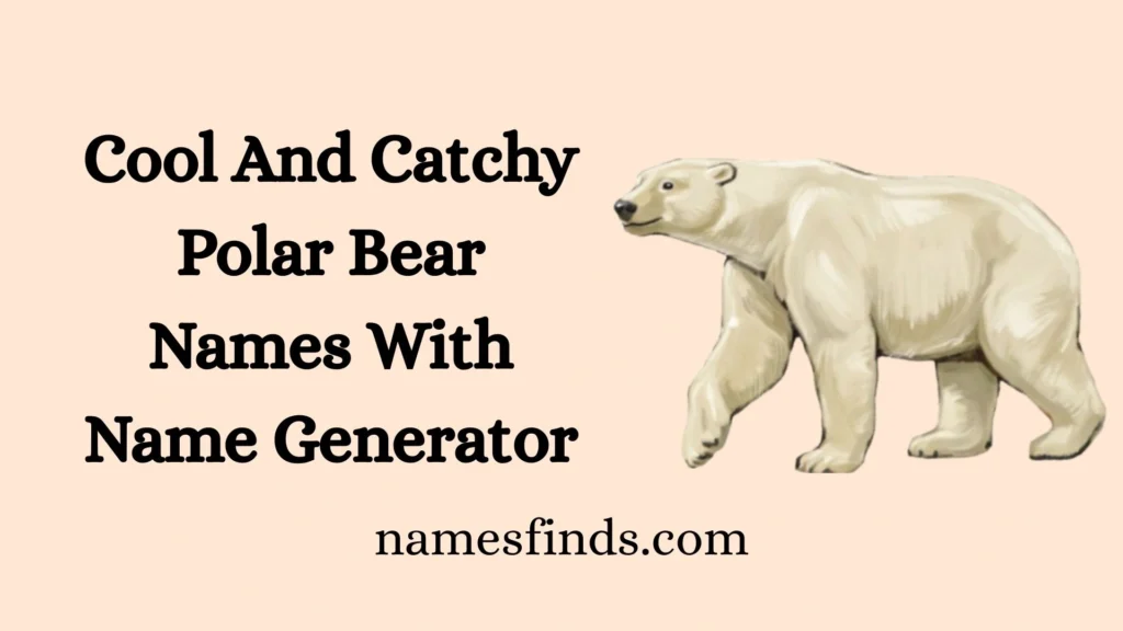 Cool And Catchy Polar Bear Names With Name Generator