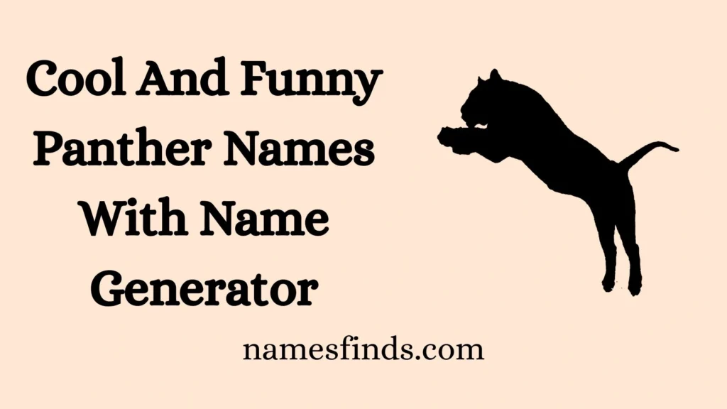 Cool And Funny Panther Names With Name Generator