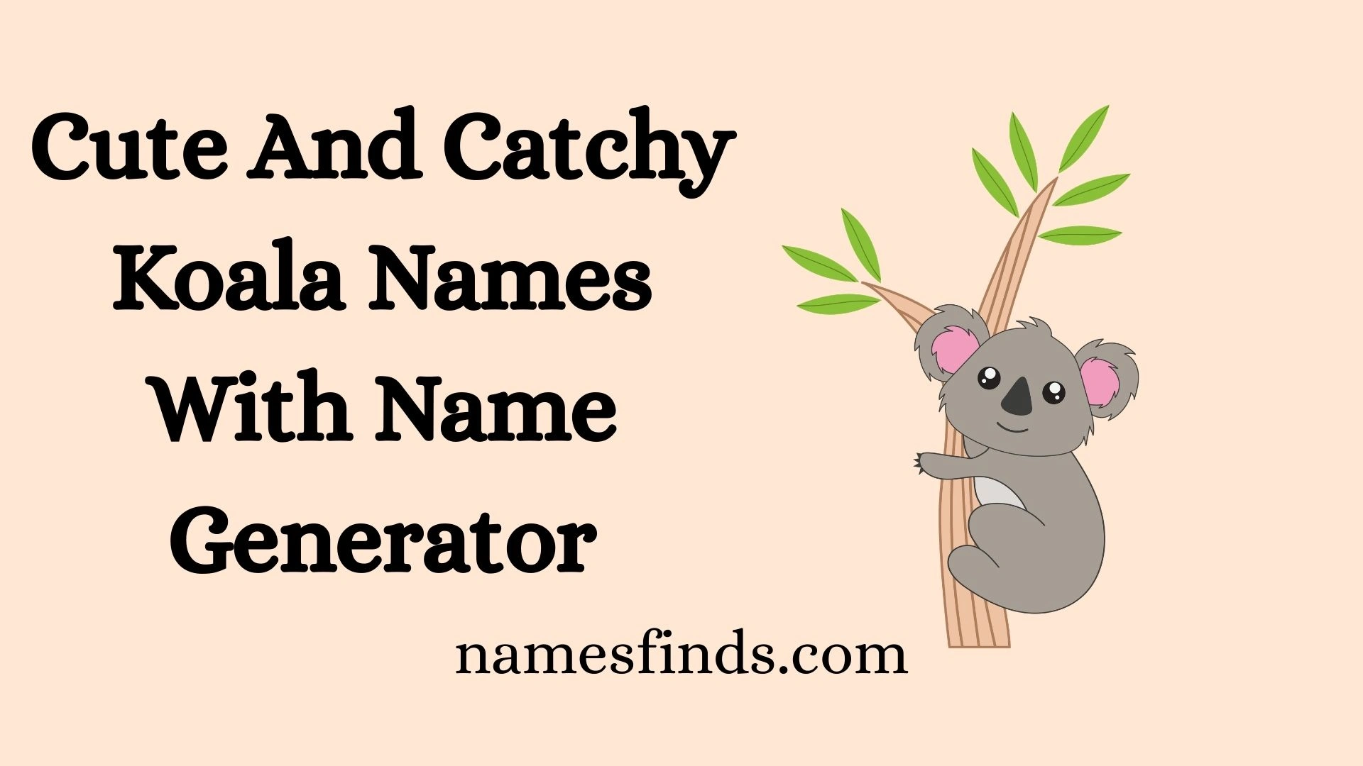 Cute And Catchy Koala Names With Name Generator