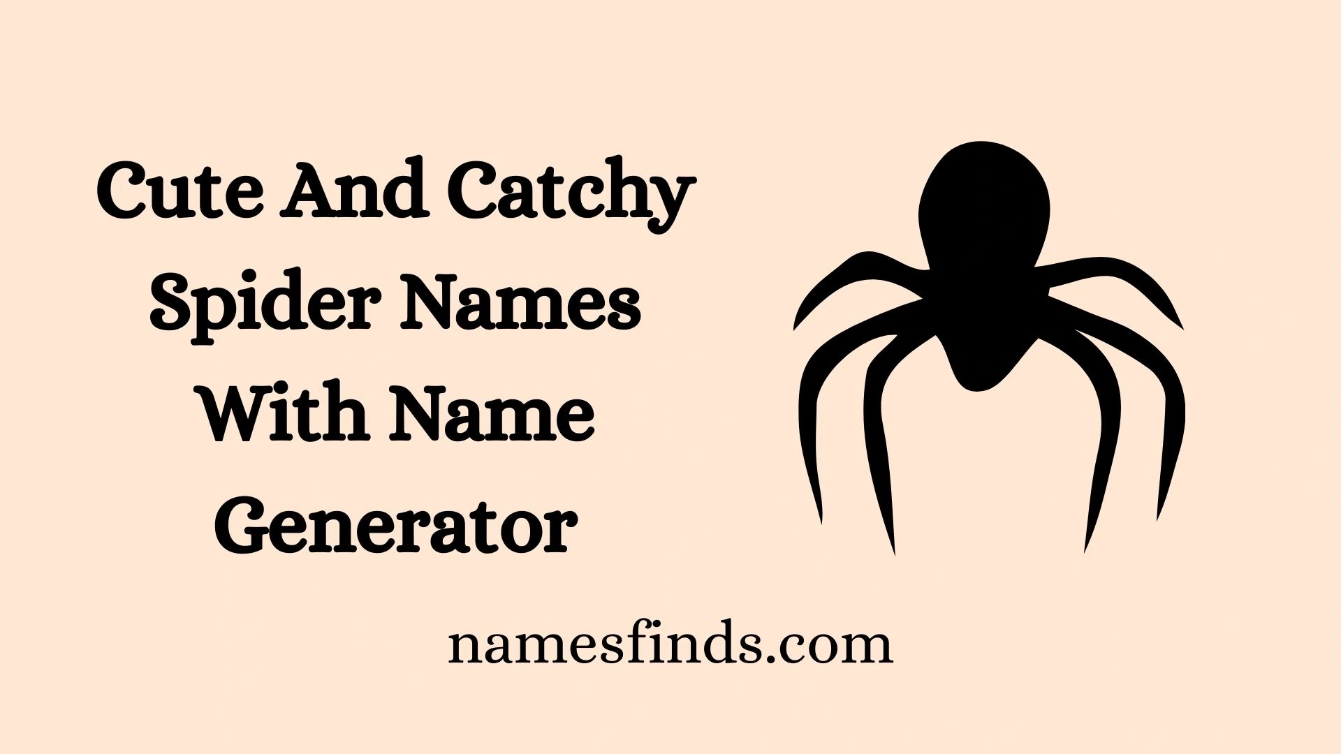 Cute And Catchy Spider Names With Name Generator