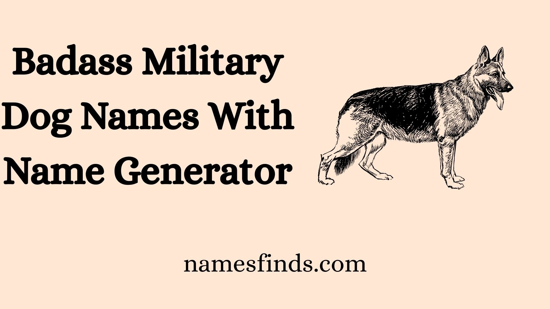 Badass Military Dog Names With Name Generator