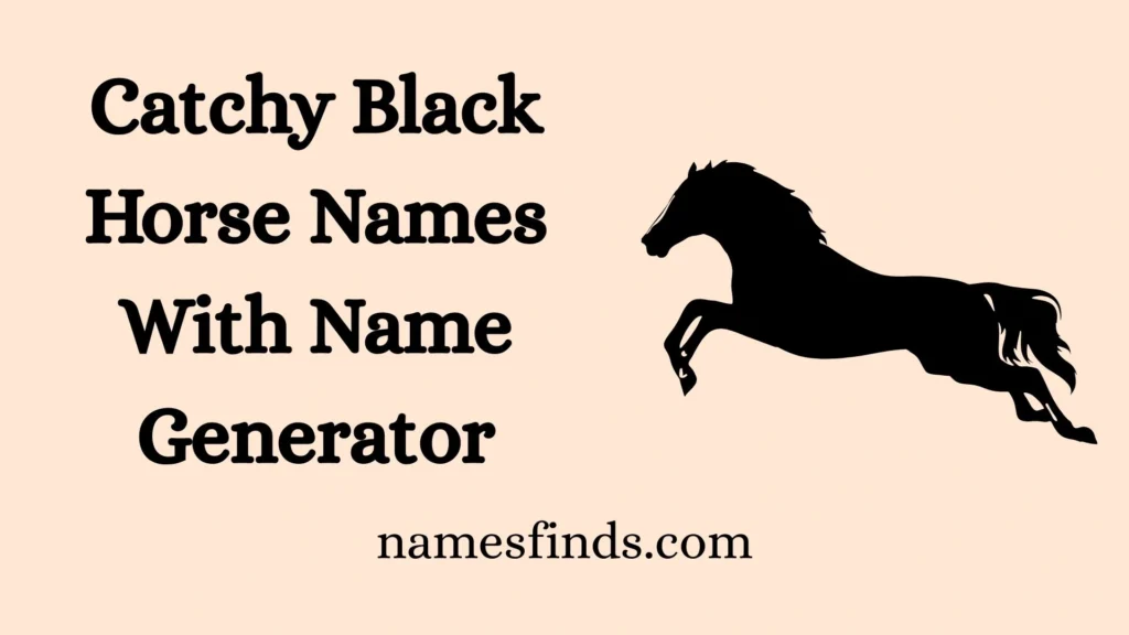 Catchy Black Horse Names With Name Generator