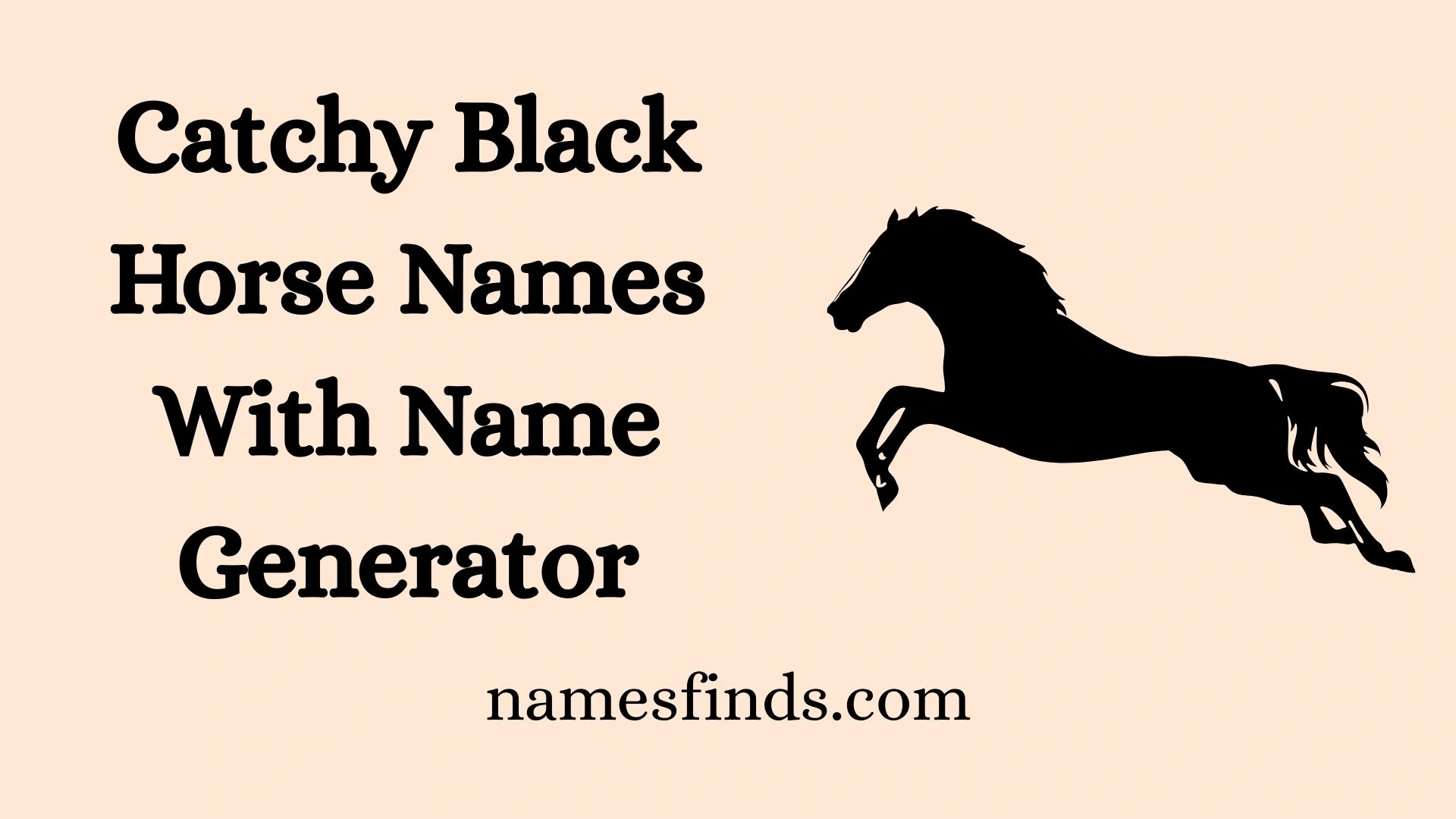 Catchy Black Horse Names With Name Generator