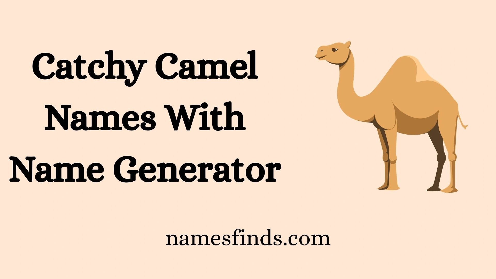 Catchy Camel Names With Name Generator