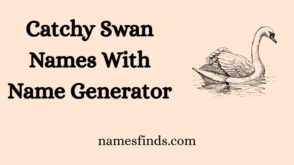 Catchy Swan Names With Name Generator