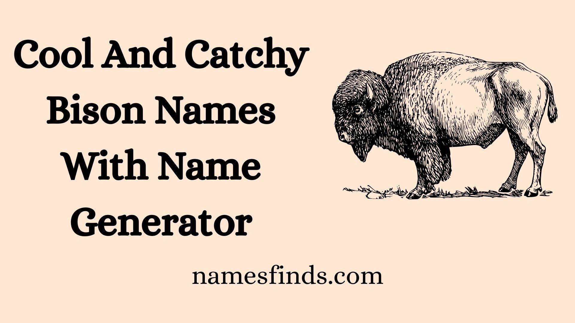 Cool And Catchy Bison Names With Name Generator