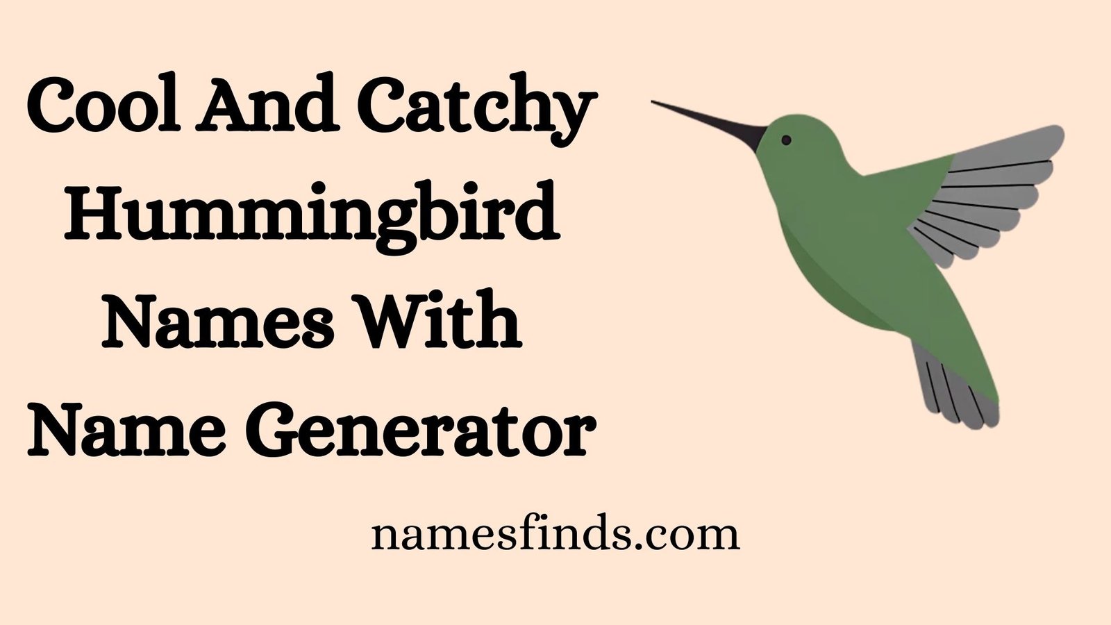 Cool And Catchy Hummingbird Names With Name Generator