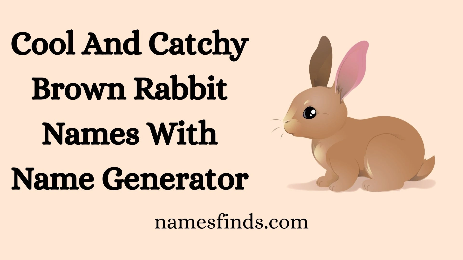 Cool And Catchy Brown Rabbit Names With Name Generator