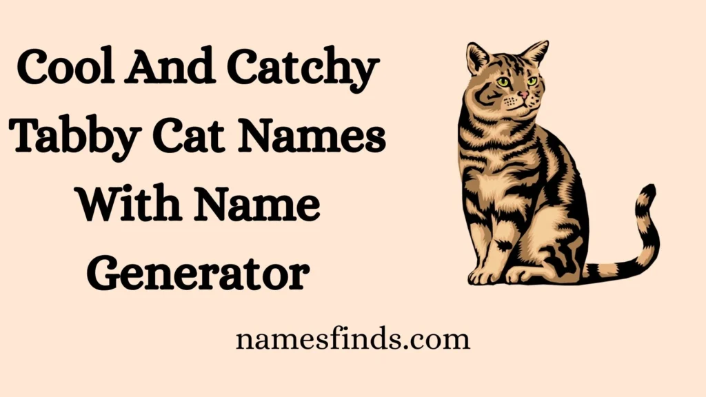 Cool And Catchy Tabby Cat Names With Name Generator