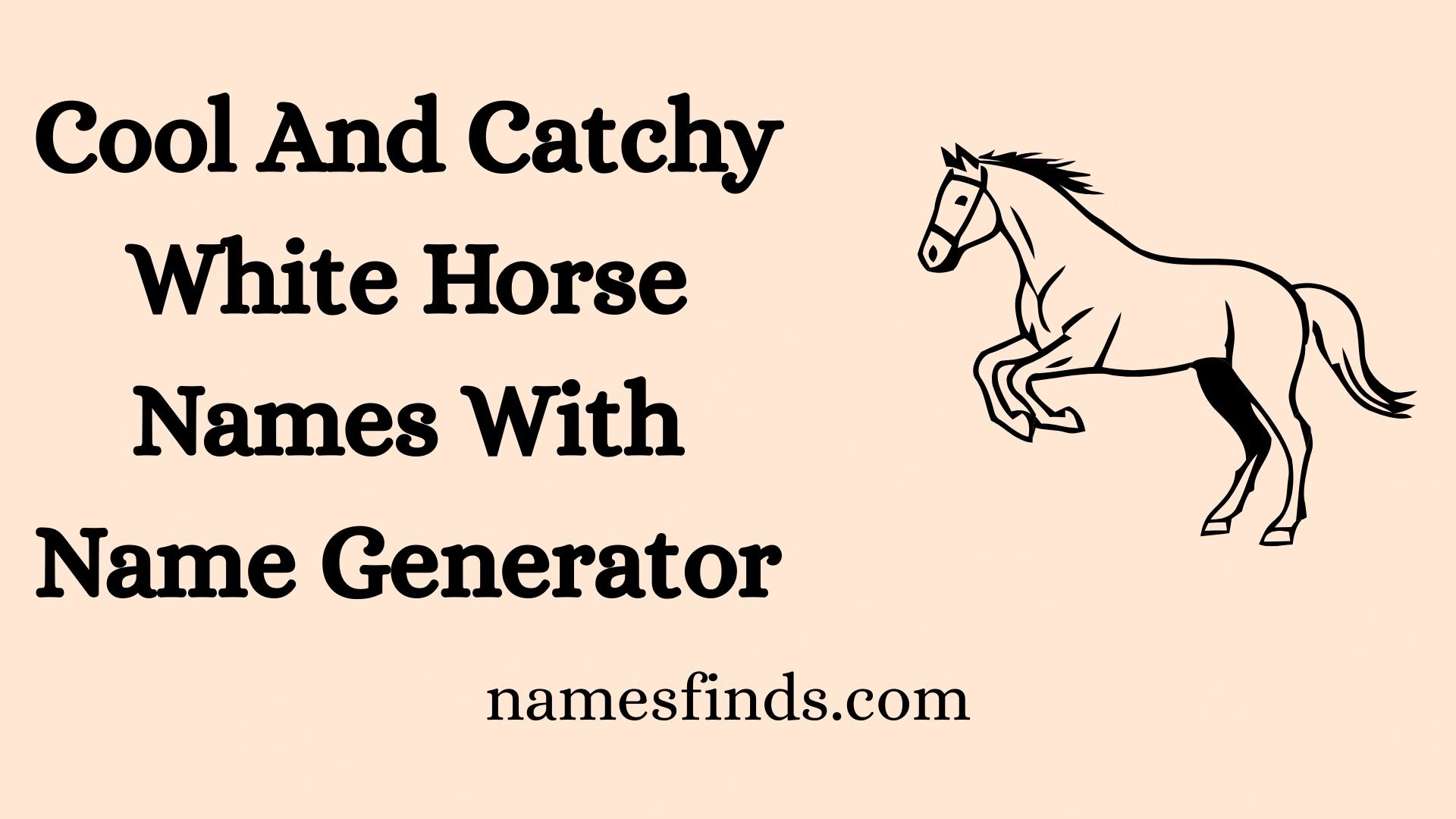 Cool And Catchy White Horse Names With Name Generator