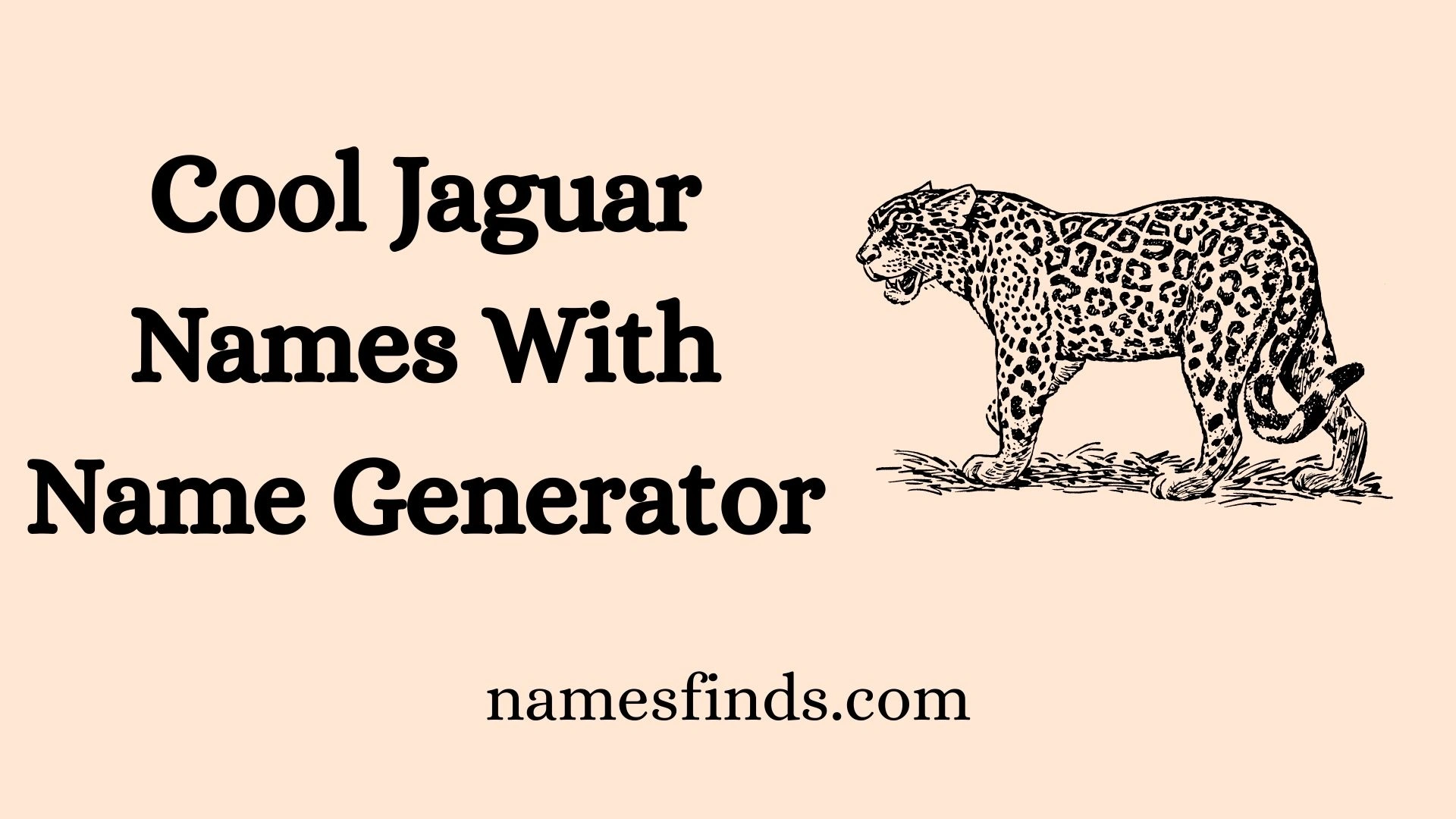 Cool Jaguar Names With Name Generator