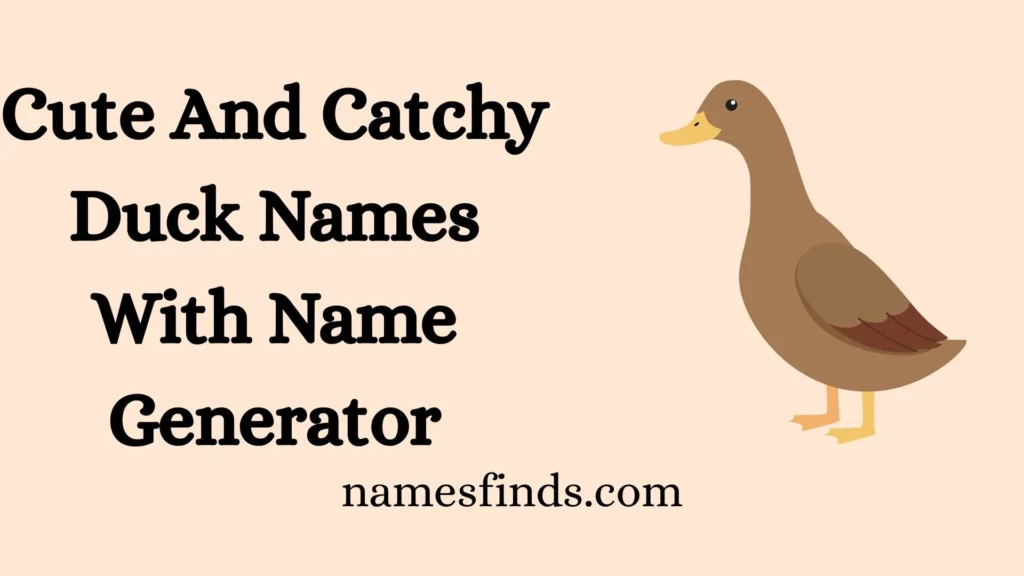 Cute And Catchy Duck Names With Name Generator