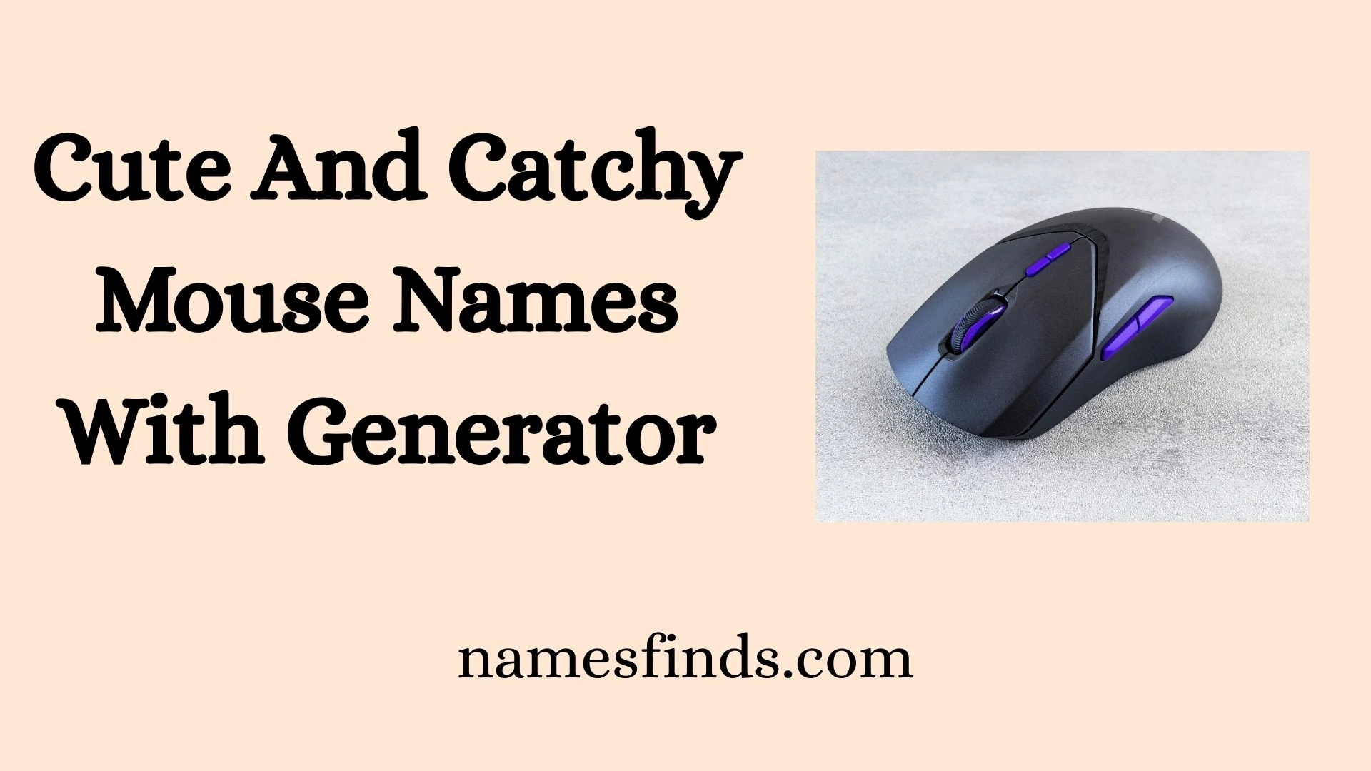Cute And Catchy Mouse Names With Generator