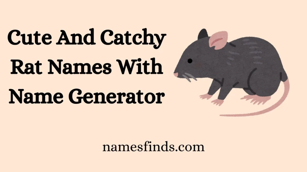 Cute And Catchy Rat Names With Name Generator