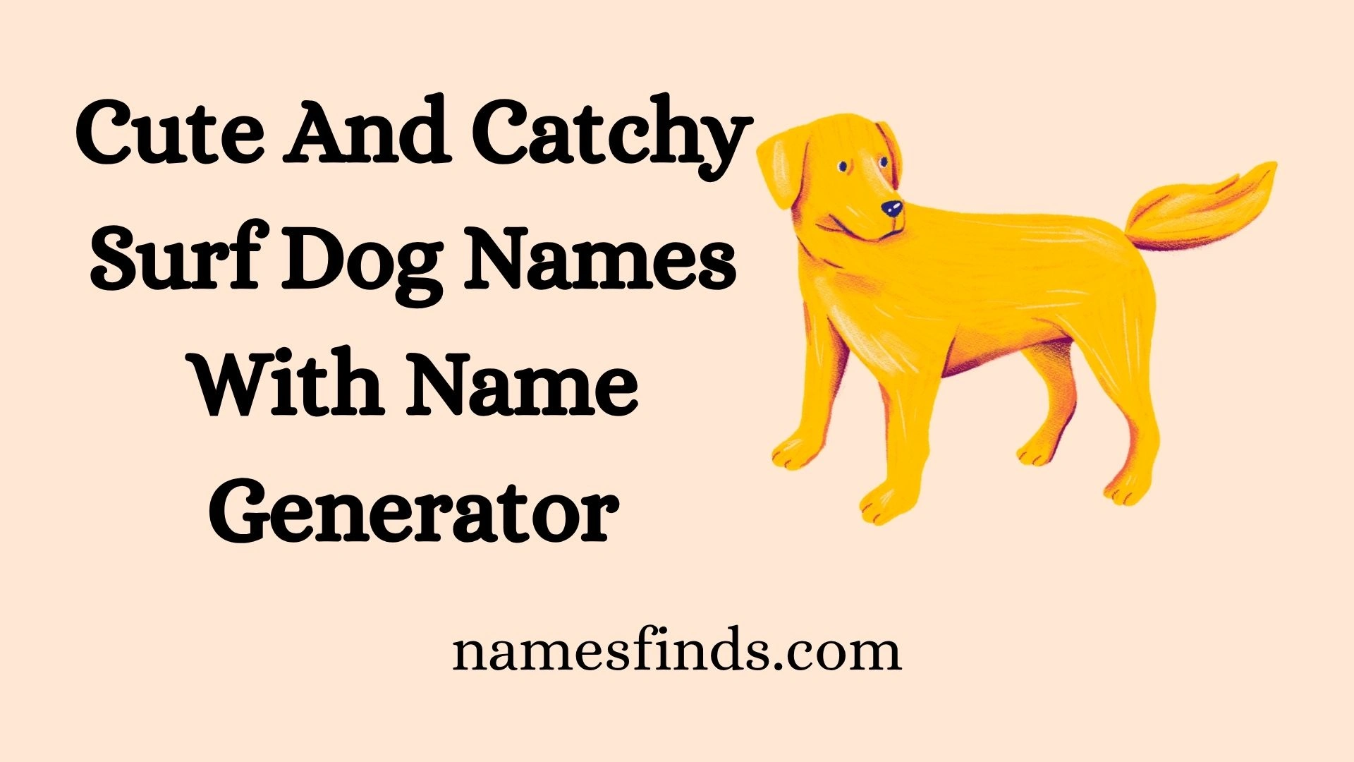 Cute And Catchy Surf Dog Names With Name Generator