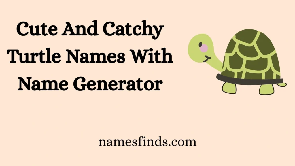 Cute And Catchy Turtle Names With Name Generator