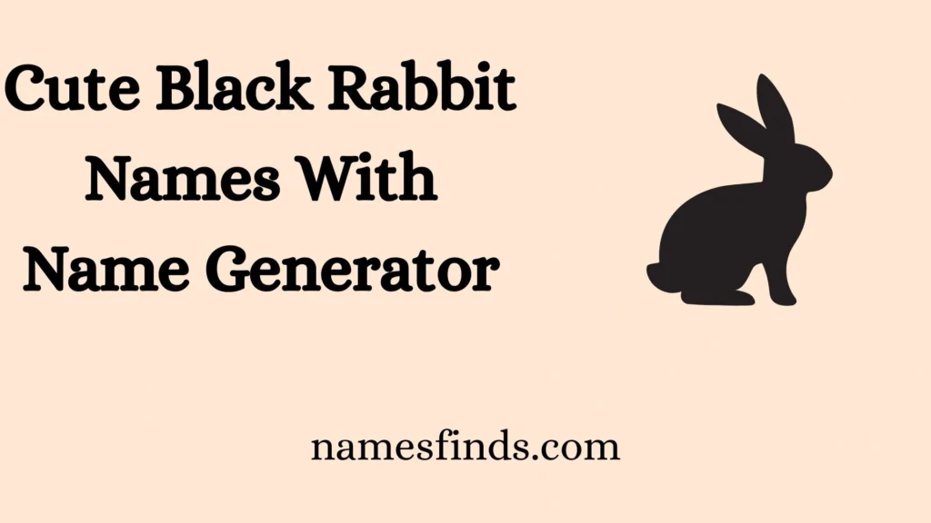 Cute Black Rabbit Names With Name Generator