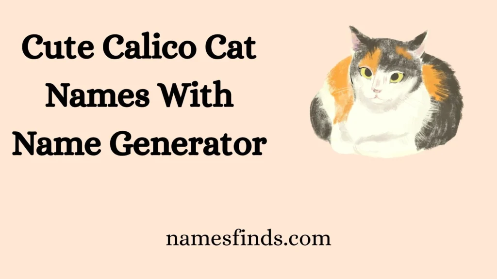 Cute Calico Cat Names With Name Generator