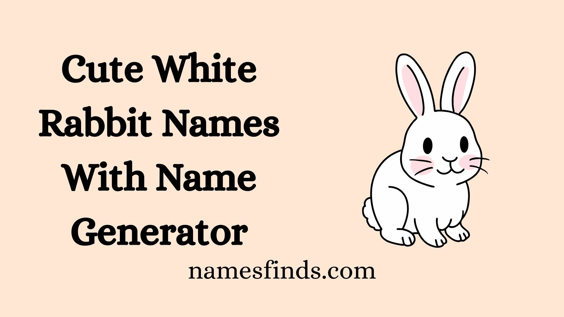 Cute White Rabbit Names With Name Generator