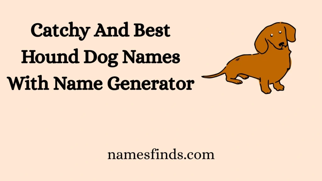 Catchy And Best Hound Dog Names With Name Generator