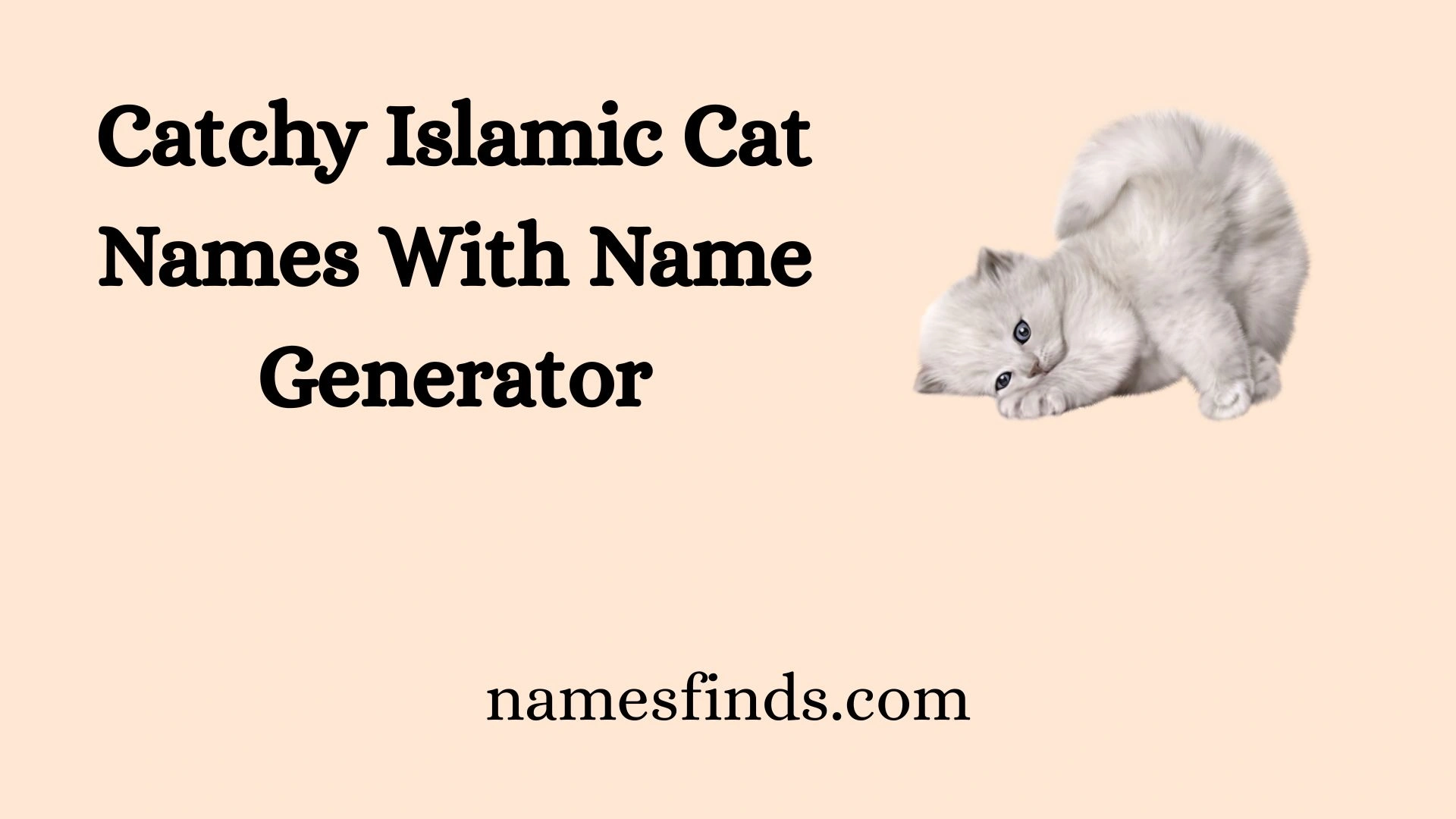 Catchy Islamic Cat Names With Name Generator