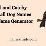 Cool and Catchy Baseball Dog Names With Name Generator