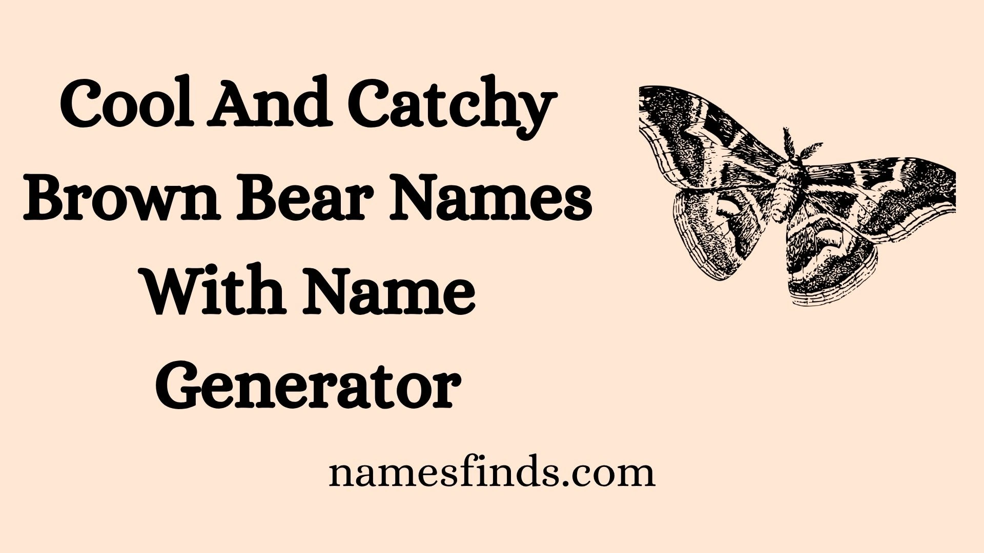Cool And Catchy Brown Bear Names With Name Generator