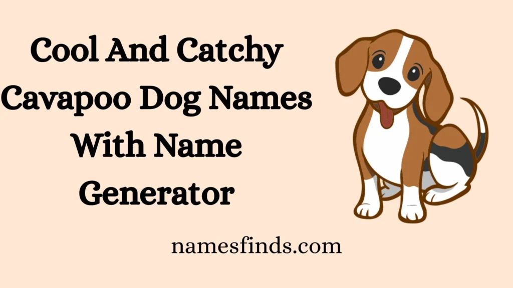 Cool And Catchy Cavapoo Dog Names With Name Generator