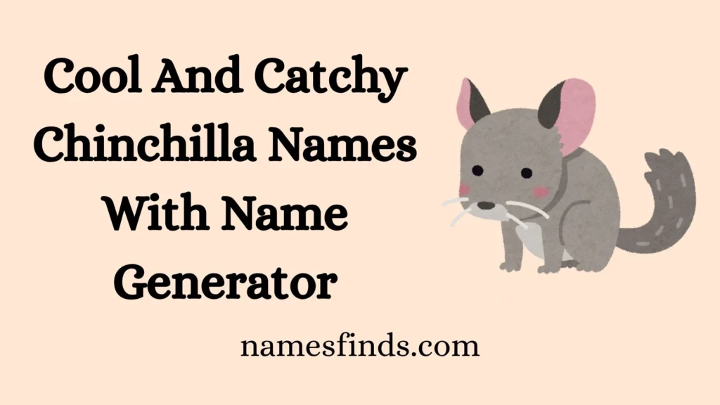 Cool And Catchy Chinchilla Names With Name Generator