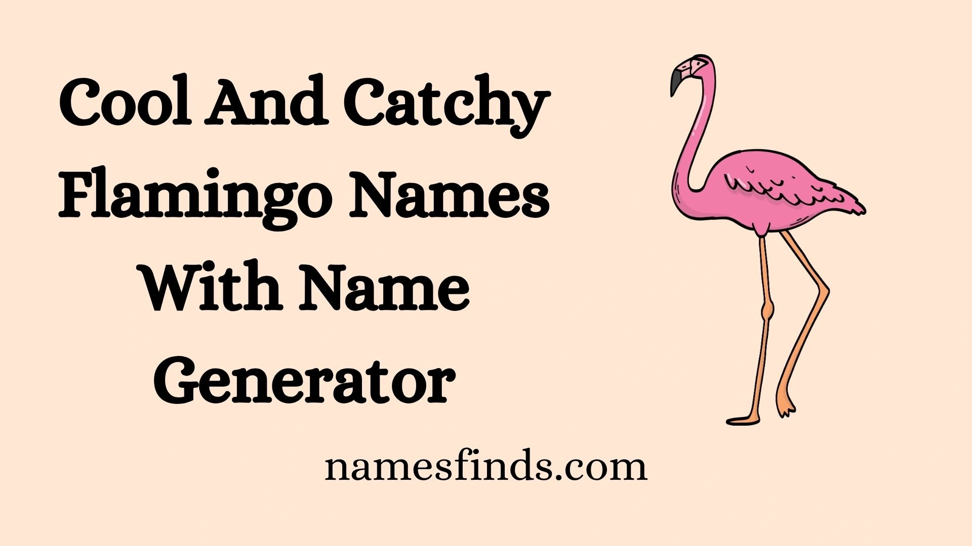 Cool And Catchy Flamingo Names With Name Generator