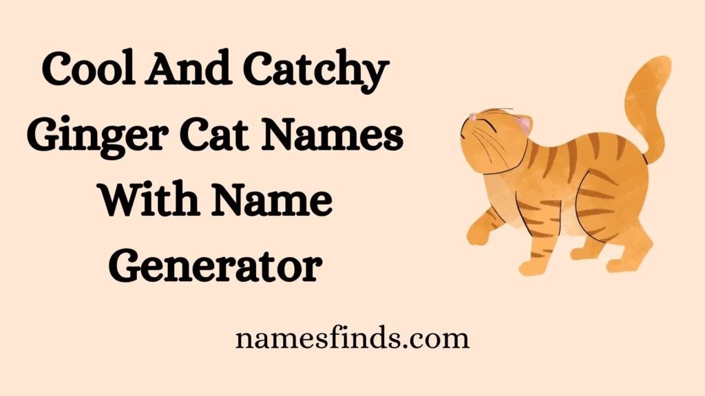 Cool And Catchy Ginger Cat Names With Name Generator