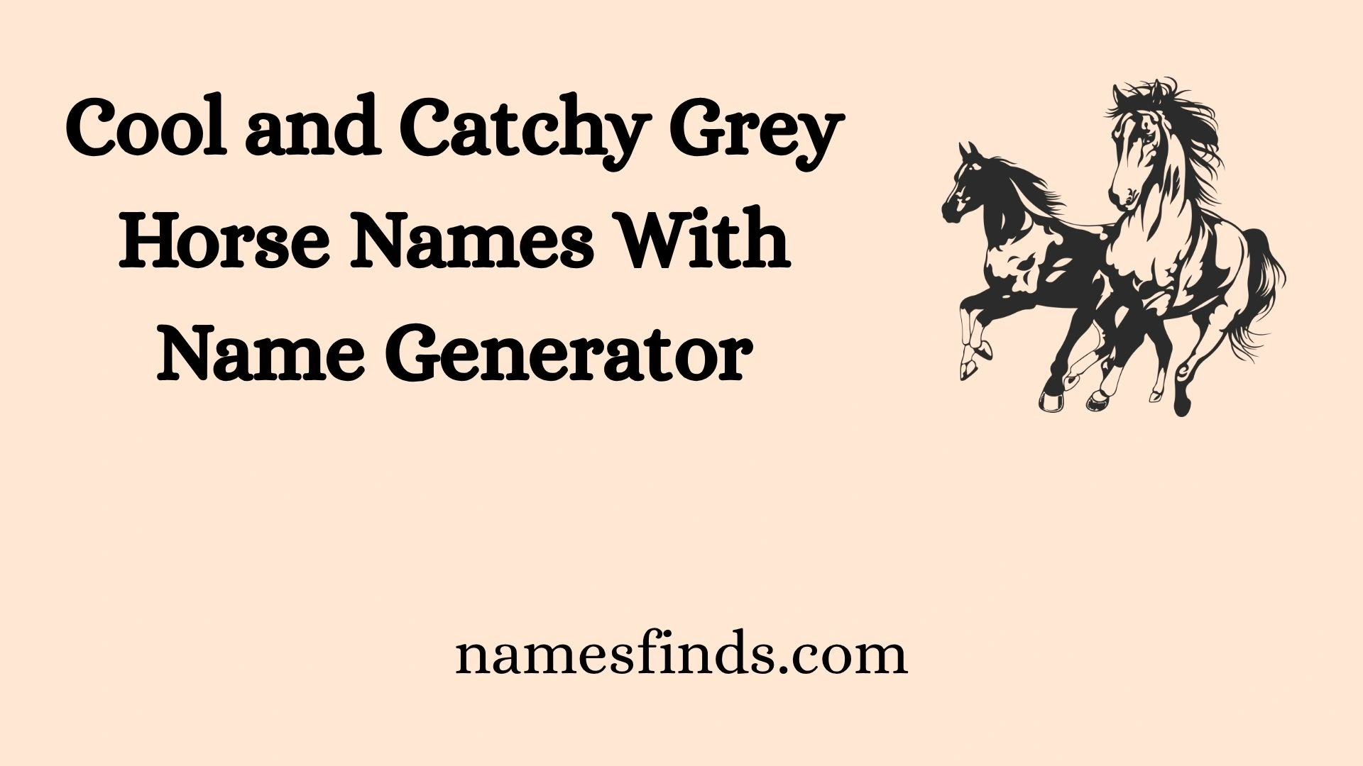 Cool and Catchy Grey Horse Names With Name Generator