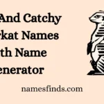 Cool And Catchy Meerkat Names With Name Generator
