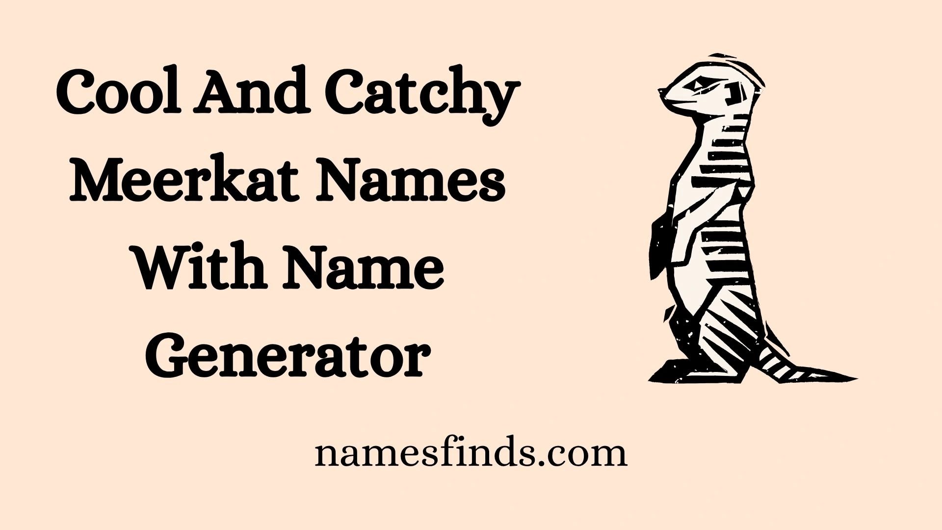 Cool And Catchy Meerkat Names With Name Generator