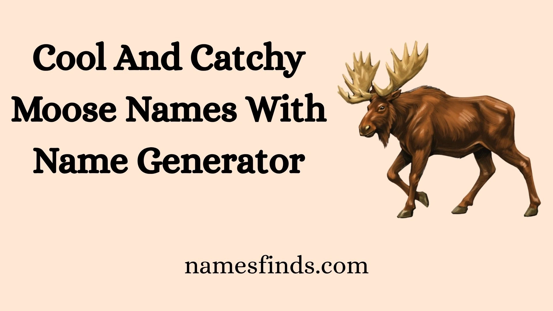 Cool And Catchy Moose Names With Name Generator