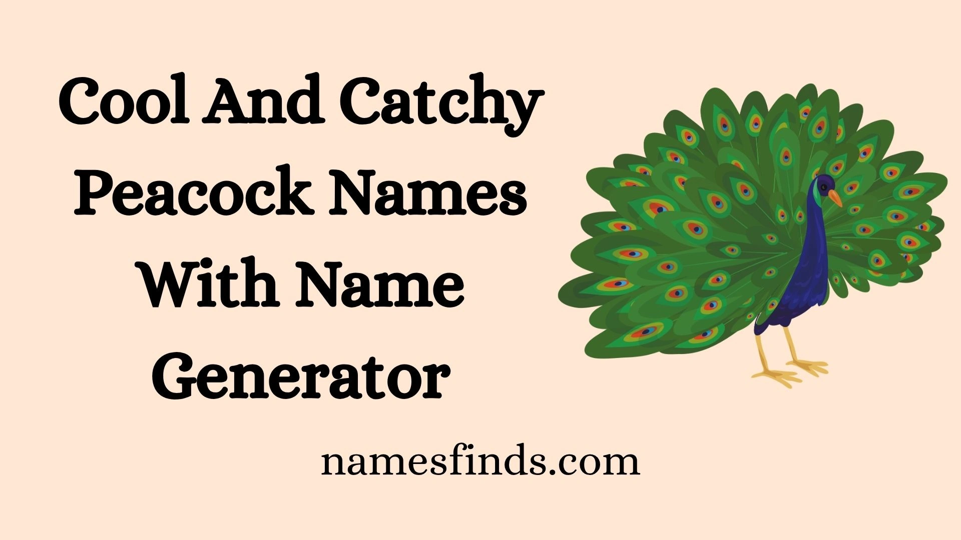 Cool And Catchy Peacock Names With Name Generator