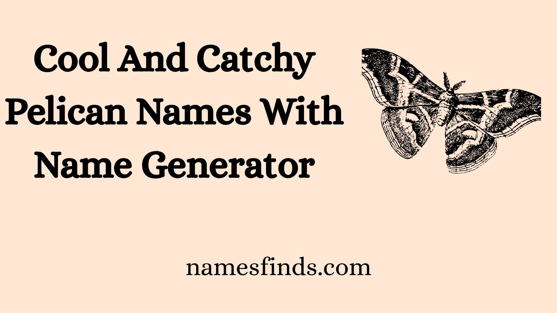 Cool And Catchy Pirate Dog Names With Name Generator