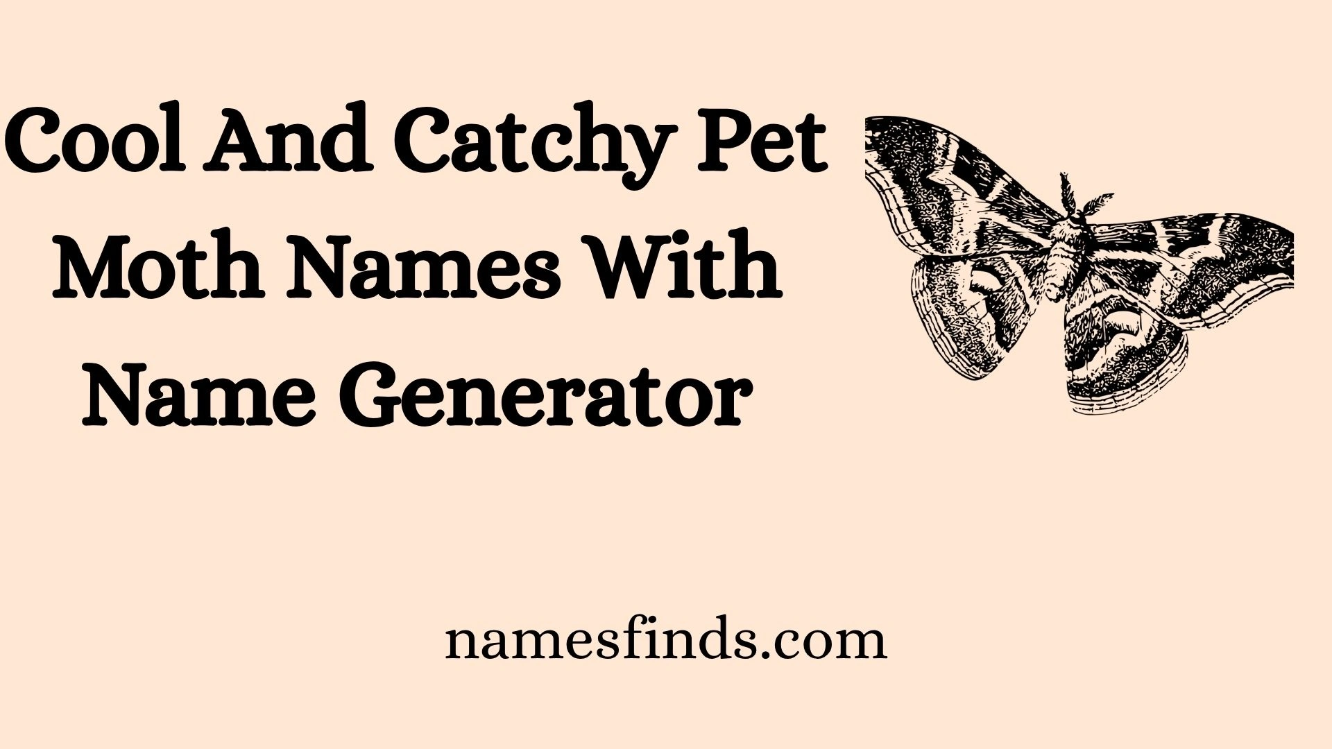 Cool And Catchy Pet Moth Names With Name Generator