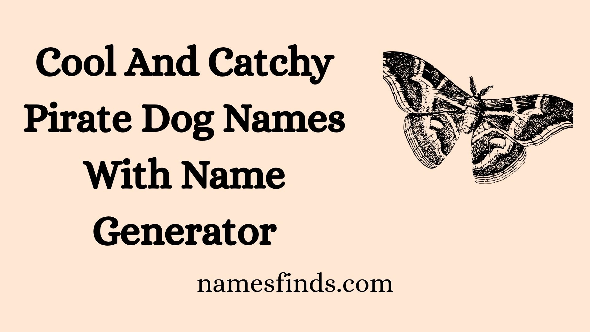 Cool And Catchy Pirate Dog Names With Name Generator
