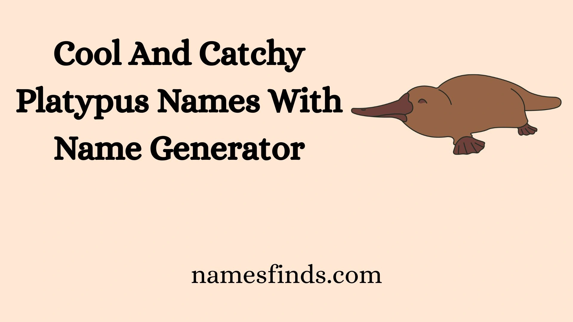 Cool And Catchy Platypus Names With Name Generator