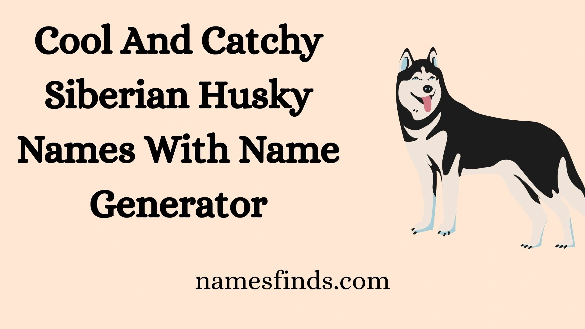 Cool And Catchy Siberian Husky Names With Name Generator