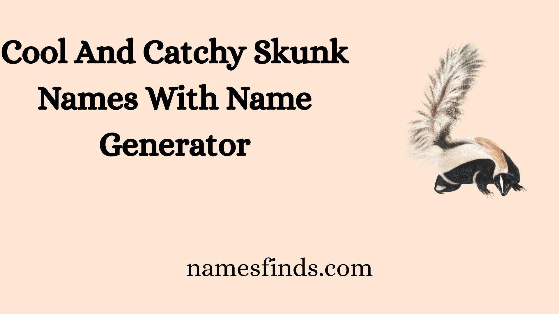 Cool And Catchy Skunk Names With Name Generator
