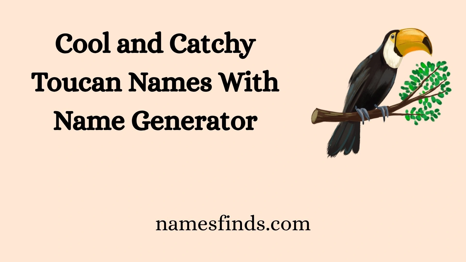 Cool and Catchy Toucan Names With Name Generator
