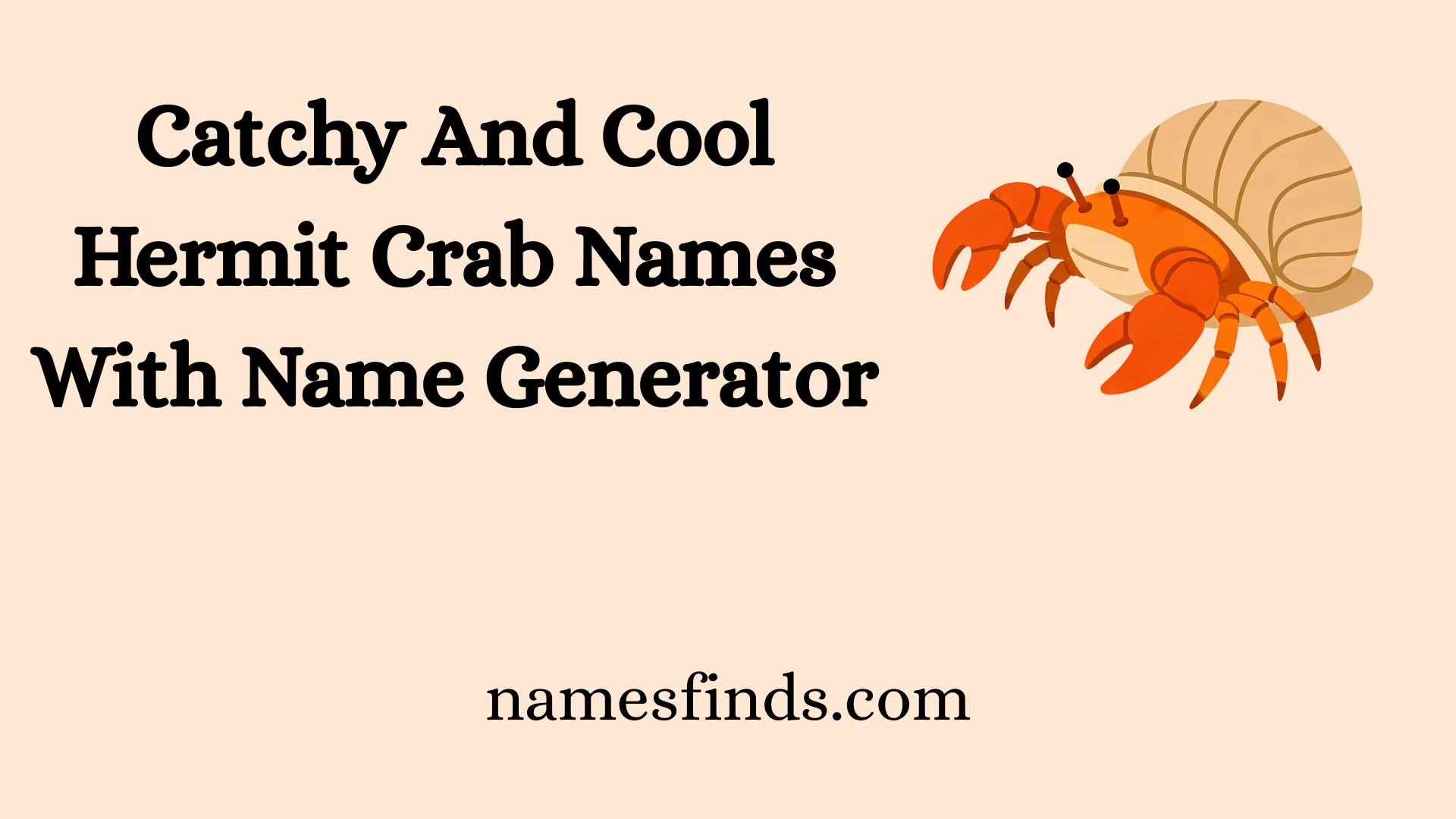 Catchy And Cool Hermit Crab Names With Name Generator